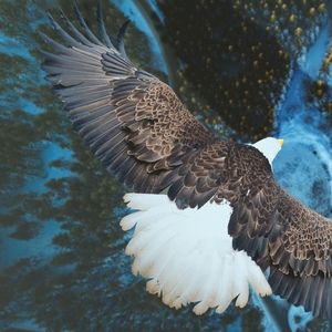 Meet your Posher, Sonia